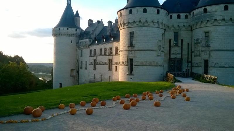 Chateaux De La Loire Zoo De Beauval Ferienhaus Pontlevoy