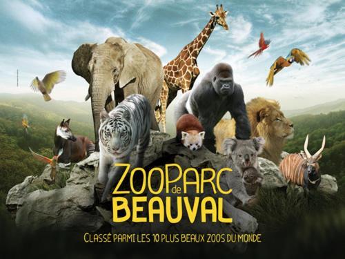 Chateaux De La Loire Zoo De Beauval Pontlevoy